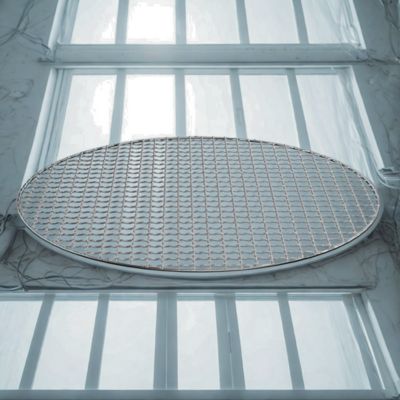 Grilles barbecue rondes en acier inoxydable | RoastingCook™ 33 cm